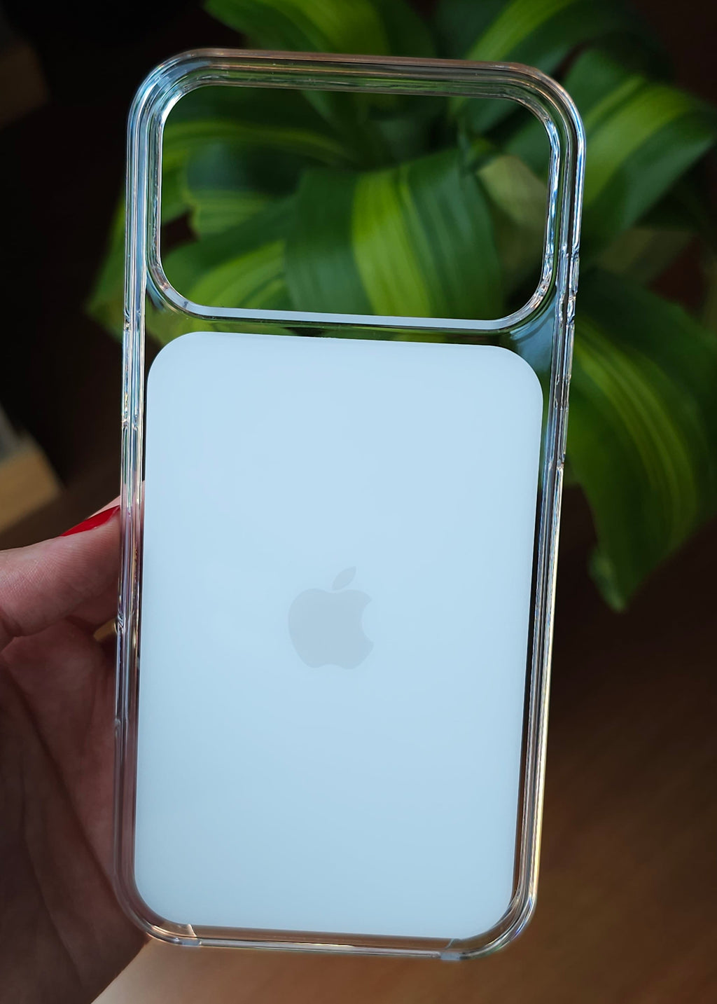 Funda transparente
