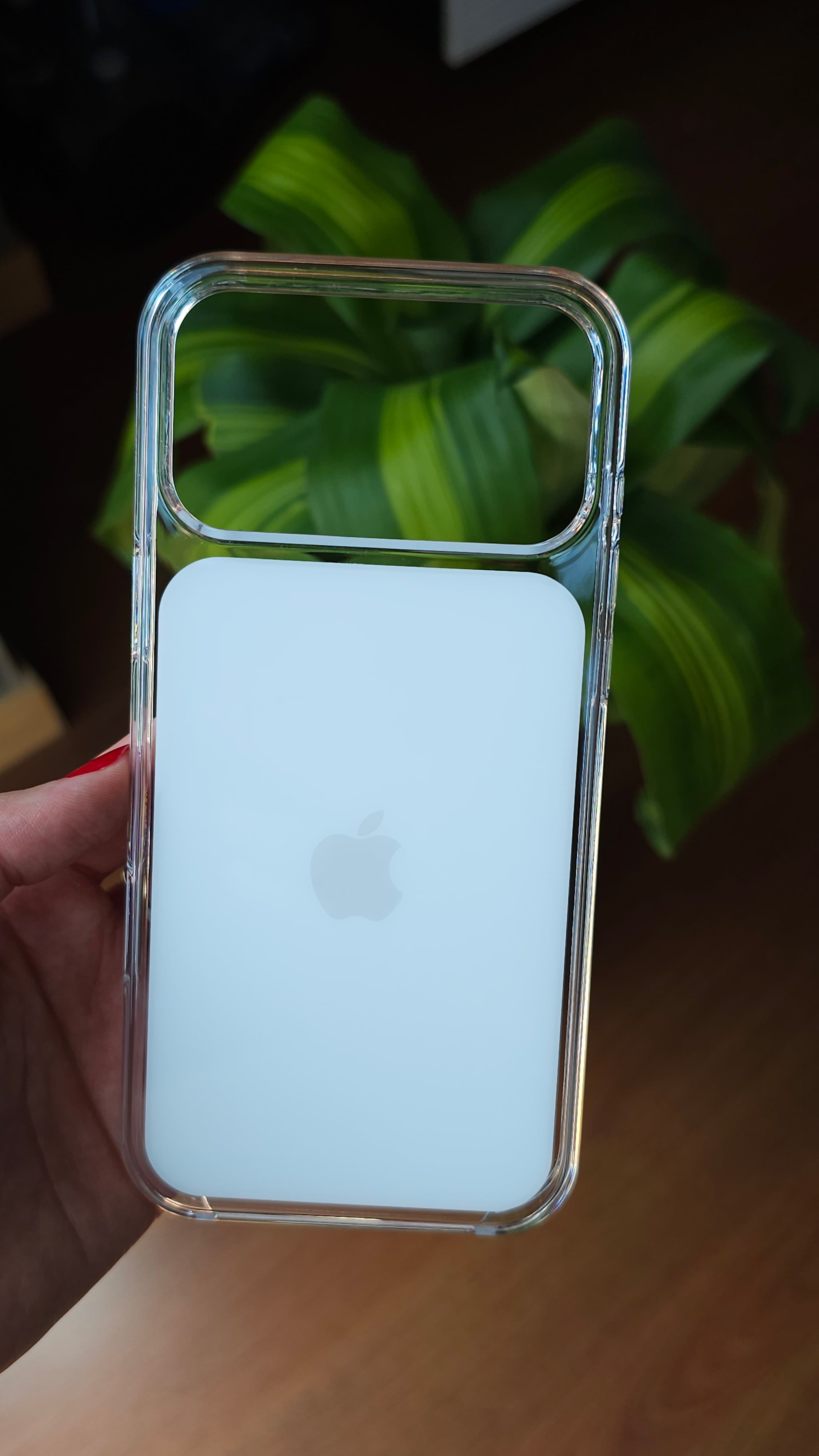 Funda transparente